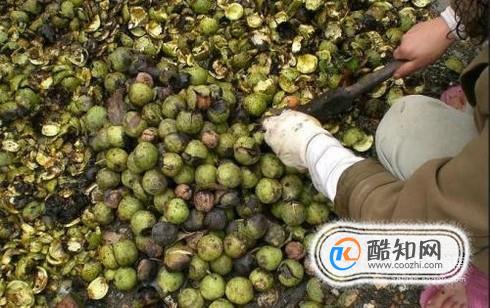 ��ȻȾ���ķ�������